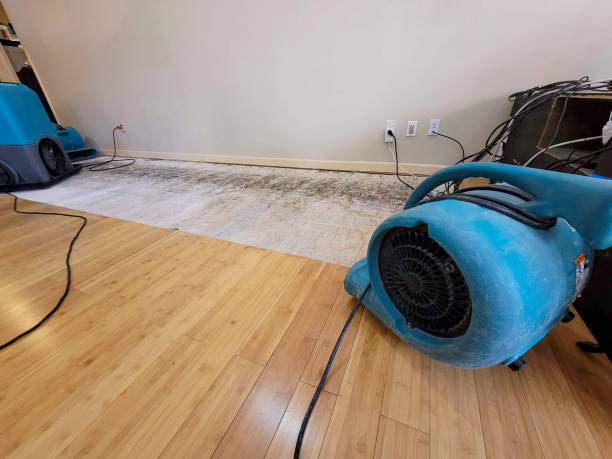 Professional Sewage Cleanup technician working in Vail, AZ